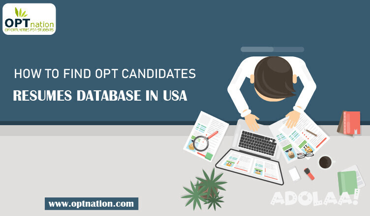 how-to-find-opt-candidates-resumes-database-in-usa-big-0