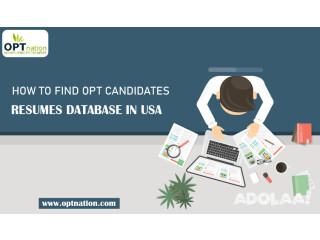 How to find OPT candidates resumes database in USA