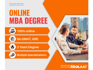 Master of Business Administration (Online MBA)