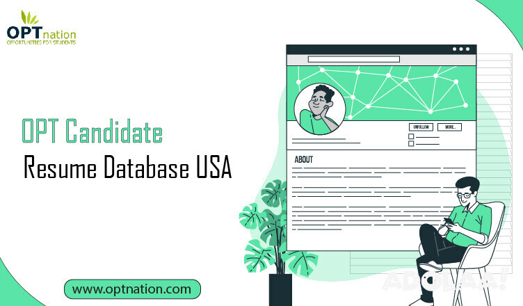 opt-resume-database-big-0