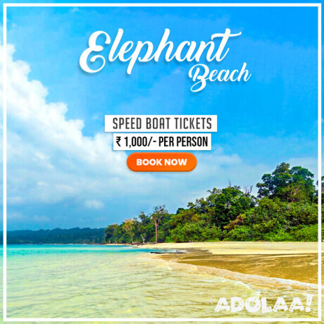 get-your-jolly-buoy-island-permit-for-an-unforgettable-experience-big-3