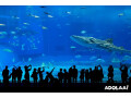 dubai-tour-package-for-family-with-wonder-world-travels-small-0