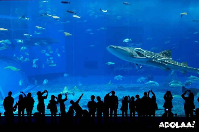 dubai-tour-package-for-family-with-wonder-world-travels-big-0