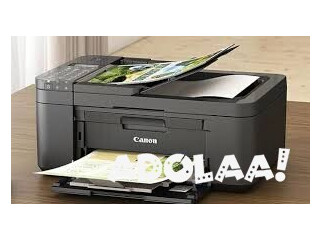 Epson printer offline