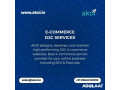 top-e-commerce-development-marketing-services-in-india-small-0