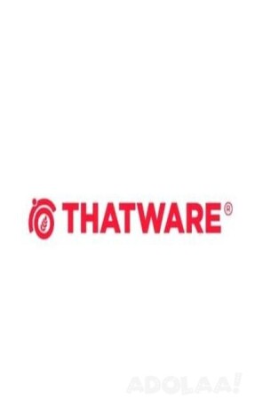 grow-your-business-with-the-best-seo-company-in-india-thatware-llp-big-0