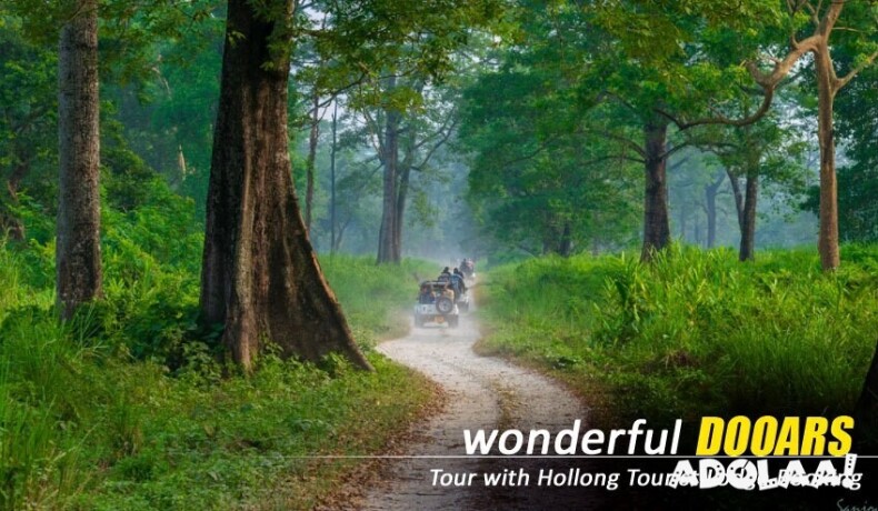 dooars-tour-package-from-njp-a-journey-into-the-heart-of-dooars-big-0