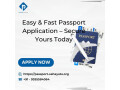 easy-fast-passport-application-secure-yours-today-small-0