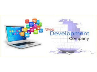 Web development company in India