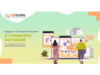 Ecommerce Web developers in india