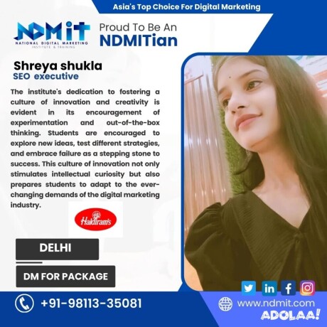 enroll-in-the-best-online-digital-marketing-course-in-south-delhi-master-in-demand-skills-with-ndmit-big-0