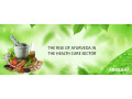 hire-the-best-mlm-products-manufacturers-ambico-ayurvedic-healthcare-small-0