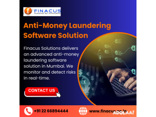 Anti-Money Laundering Software Solution