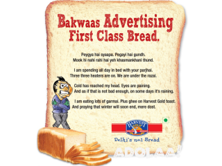 Best Way to Get in Touch with Harvest Gold