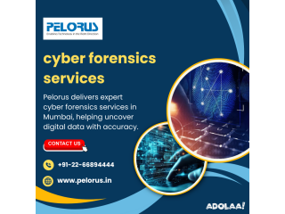 Cyber forensics services