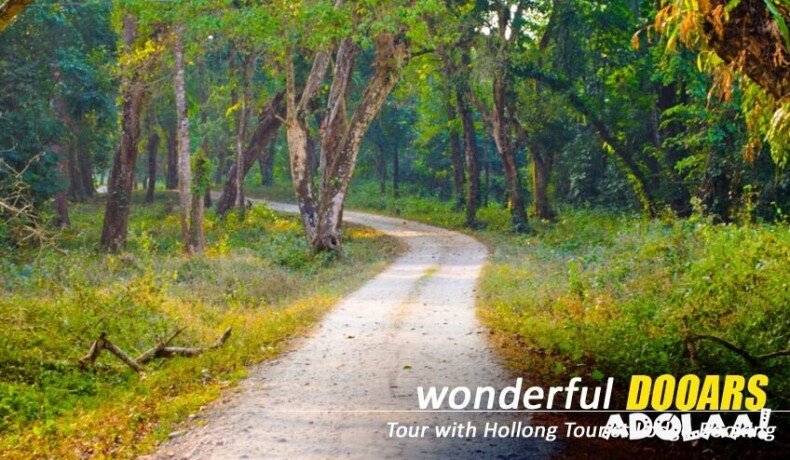 dooars-package-tour-with-jaldapara-elephant-safari-a-thrilling-wildlife-getaway-big-3