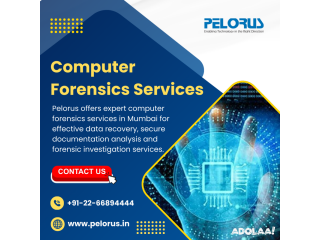 Computer Forensics Services