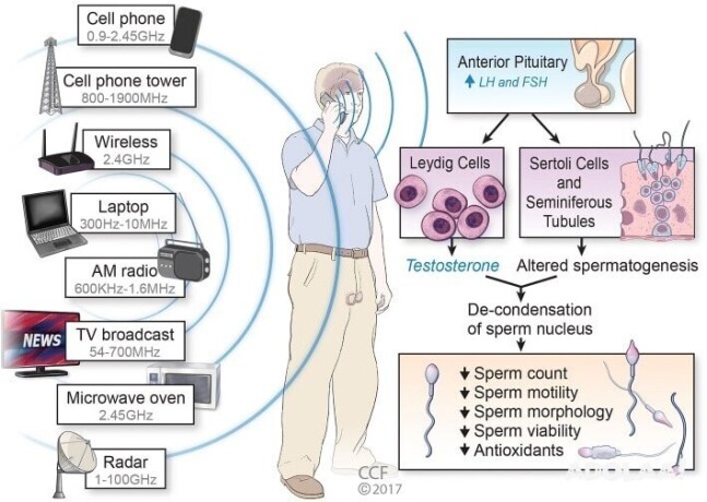 discover-effective-azoospermia-treatment-in-bangalore-with-orchidz-health-big-0