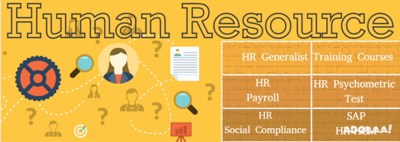 hr-institute-in-delhi-kirti-nagar-sla-institute-free-sap-hcm-hr-analytics-certification-with-100-job-guarantee-big-0