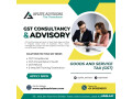 benefit-of-filing-of-gst-return-with-aplite-advisors-small-0