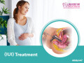 iui-cost-lowcostivftreatment-small-0