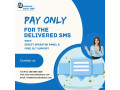 bulk-sms-provider-in-delhi-small-0