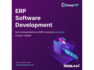 Top ERP Customizable Software Development