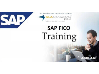 SAP FICO Training with Free SAP Server at SLA Consultants India with 100% Job in Delhi, Noida & Gurgaon