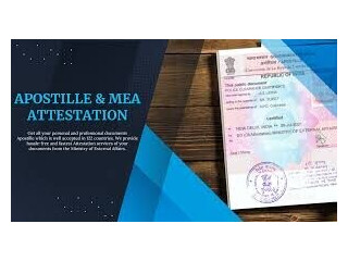 Best Document Apostille Services in Delhi | Ensuring Hassle-Free International Authentication