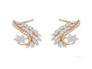 Discover the Allure of Womens Earrings