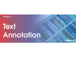 Mastering Text Annotation a Comprehensive Tutorial | Macgence