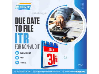 File Your Income tax Return Online with Easy IT Returns