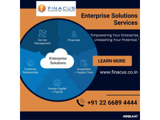 Enterprise Solutions Services