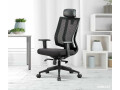 work-in-style-office-chairs-collection-by-wooden-street-small-0