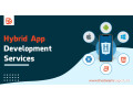 hybrid-app-development-services-small-0