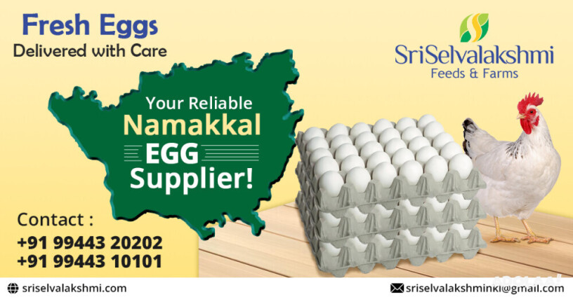 egg-wholesale-price-in-namakkalsri-selvalakshmi-feeds-farms-big-0