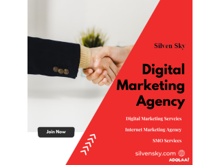 Digital Marketing Servcies : silvensky