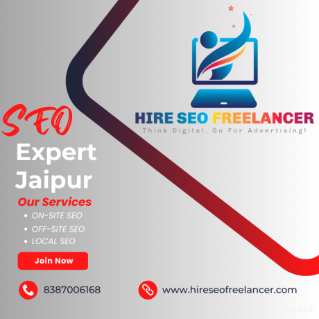 seo-expert-jaipur-big-0