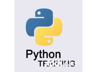 Advance Your Coding Skills with Our Python Training Course