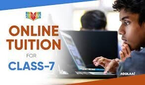 master-the-curriculum-with-online-home-tuition-classes-for-class-7-big-0