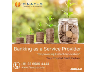 Banking as a Service Provider