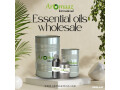 globally-essential-oils-wholesale-at-affordable-rate-small-0