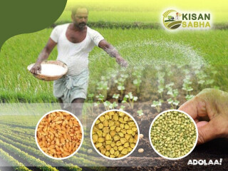Agriculture Seeds Exporters | Agriculture Seeds Wholesalers - KisanSabha