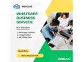 whatsapp-for-business-10-effective-strategies-tools-2023-small-0