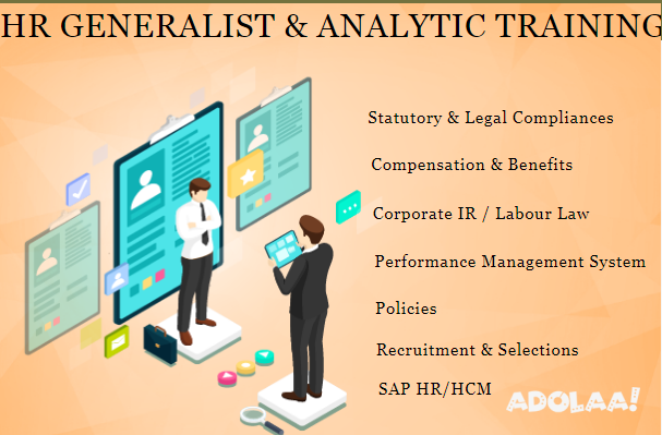 hr-training-institute-in-delhi-mayur-vihar-special-offer-till-aug23-free-sap-hcm-hr-analytics-certification-big-0