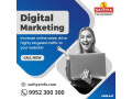 digital-marketing-company-in-india-sathya-technosoft-small-0