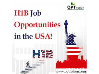 H1B Job Opportunities in the USA! OPTnation