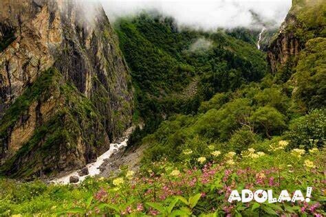 valley-of-flowers-kashmir-revel-in-the-delight-of-floral-magic-big-0