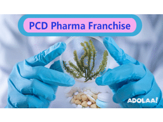 What Are The Vital Advantages Offered By PCD Pharma franchise Companies?