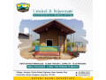 rupani-dhani-where-tranquility-meets-adventure-in-a-haryana-resort-small-0